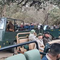 Aventuras en Ranthambore: safari por la fauna salvaje desde Delhi con safari Rides: foto del viajero #1