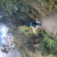 Ghorepani Poon Hill trek: foto van de reiziger #3