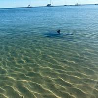 4 Daagse Perth naar Monkey Mia Coastal Loop Comfort-niveau (Overnachting) Tour: foto van de reiziger #2