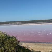 4 Daagse Perth naar Monkey Mia Coastal Loop Comfort-niveau (Overnachting) Tour: foto van de reiziger #3