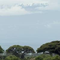 Fantastische combinatie-safaritocht door Kenia & Tanzania - 6 dagen: foto van de reiziger #3
