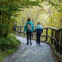 Plitvicer Seen & Krka Wasserfälle -  mit Übernachtung: Entdecken Sie Kroatiens atemberaubende Nationalparks Reise-Foto #2