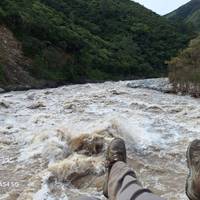 Photo de voyageur Piste de la jungle inca vers le Machu Picchu - Service de groupe - 4 jours #1