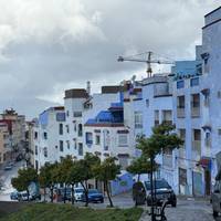 Photo de voyageur Circuit privé de 6 jours de Casablanca à Marrakech #2