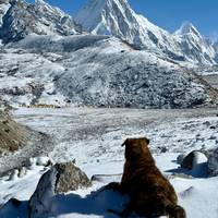 Everest Basiskamp Trek - 9 Dagen: foto van de reiziger #2
