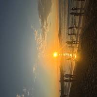 De absolute safari: foto van de reiziger #1