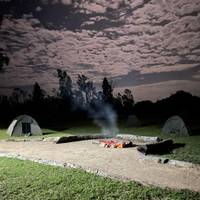 De absolute safari: foto van de reiziger #2