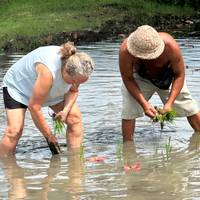 Balis Natur und Kultur - 7 Tage Reise-Foto #2