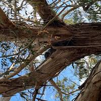 Great Ocean Road und Grampians - 3 Tage Reise-Foto #1