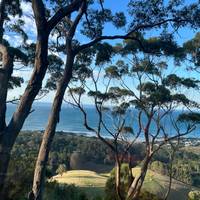 Great Ocean Road und Grampians - 3 Tage Reise-Foto #2