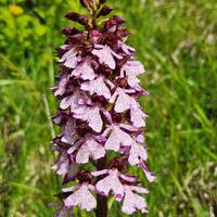 Zagori & Meteora - Wanderreise Reise-Foto #1