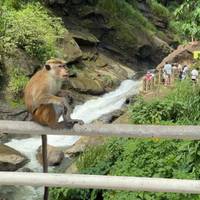 Photo de voyageur Explorer les trésors culturels et les merveilles naturelles en 5 jours #1