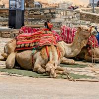 Marokkaanse kustschatten - 10-daagse rondreis door Marokko vanuit Tanger: foto van de reiziger #2