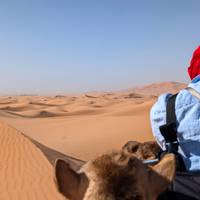 Marokkaanse kustschatten - 10-daagse rondreis door Marokko vanuit Tanger: foto van de reiziger #3