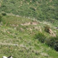 Hoogtepunten van Kirgizië en Kazachstan: foto van de reiziger #1