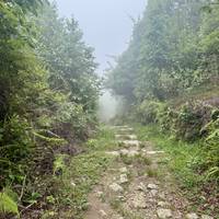 Chisapani Nagarkot Trekking: foto van de reiziger #3