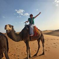 Photo de voyageur Circuit de 7 jours des villes impériales du Maroc et du désert du Sahara. (Circuit en groupe, hôtels 4*) #1