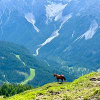 Wandern in den Dolomiten Reise-Foto #1