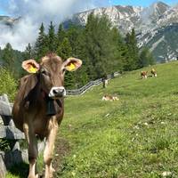 Wandern in den Dolomiten Reise-Foto #2