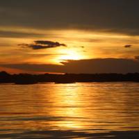 Manaus Amazonas Dschungelabenteuer - 5 Tage, 4 Nächte Reise-Foto #3