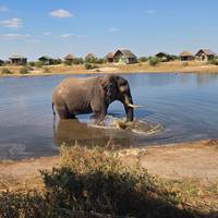 Photo de voyageur Namibie, Botswana et chutes - 14 jours #2