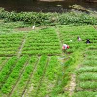 Traumurlaub Sri Lanka Reise-Foto #1