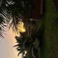 isla Grande de Hawái: conservación del medio ambiente, preservación cultural y snorkel: foto del viajero #1