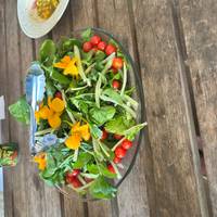 isla Grande de Hawái: conservación del medio ambiente, preservación cultural y snorkel: foto del viajero #2