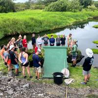 isla Grande de Hawái: conservación del medio ambiente, preservación cultural y snorkel: foto del viajero #3