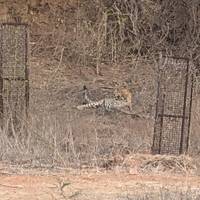 Romantisch Rajasthan – met Khajuraho & Varanasi: foto van de reiziger #1