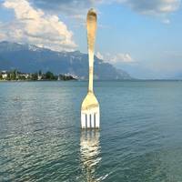 Photo de voyageur Miracle suisse #1