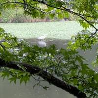 2026 Entdecken Sie Korea in 7 Tagen: Ein kuratiertes All-Inclusive-Erlebnis mit DMZ-Touroption Reise-Foto #1