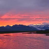 Alaska Denali Expedition - 12 Days traveler photo #1