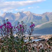 Alaska Denali Expedition - 12 Days traveler photo #2