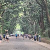 Japan Entdeckungsreise Reise-Foto #1