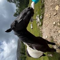 Wandern in den Dolomiten Reise-Foto #2