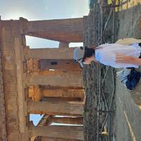 Zuid-Italië & Sicilië: foto van de reiziger #3