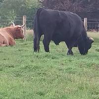 2-daagse Stoomtrein &amp; The Great Glen: foto van de reiziger #2