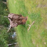 2-daagse Stoomtrein &amp; The Great Glen: foto van de reiziger #3