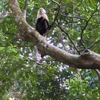 De natuurwonderen van Costa Rica: foto van de reiziger #2