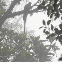 Guatemala Überland in 11 Tagen Reise-Foto #1