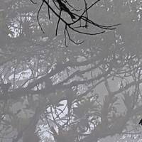 Guatemala Überland in 11 Tagen Reise-Foto #2