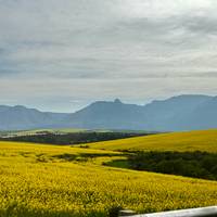 CAPE TOWN &amp; BEYOND Tour met chauffeur:  6 Dagen: foto van de reiziger #3