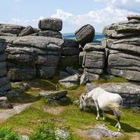 Viaje en grupo reducido a Devon y Cornualles desde Londres - 5 días: foto del viajero #1