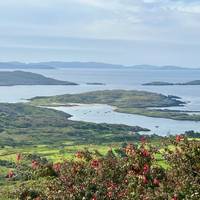 Photo de voyageur Les faits marquants du Celtic #2