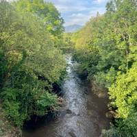 Photo de voyageur Les faits marquants du Celtic #3