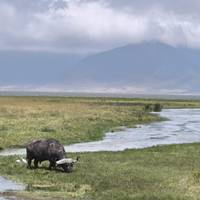 Tanzania Safari (7 Ziele) Reise-Foto #1