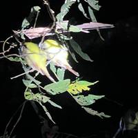 Viajes: Descubre Costa Rica Viajes de National Geographic: foto del viajero #1