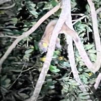 Viajes: Descubre Costa Rica Viajes de National Geographic: foto del viajero #3