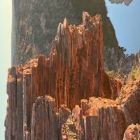 Explorador de 7 días de Perth a Exmouth y vuelta al Arrecife Ningaloo - desde Perth: foto del viajero #1